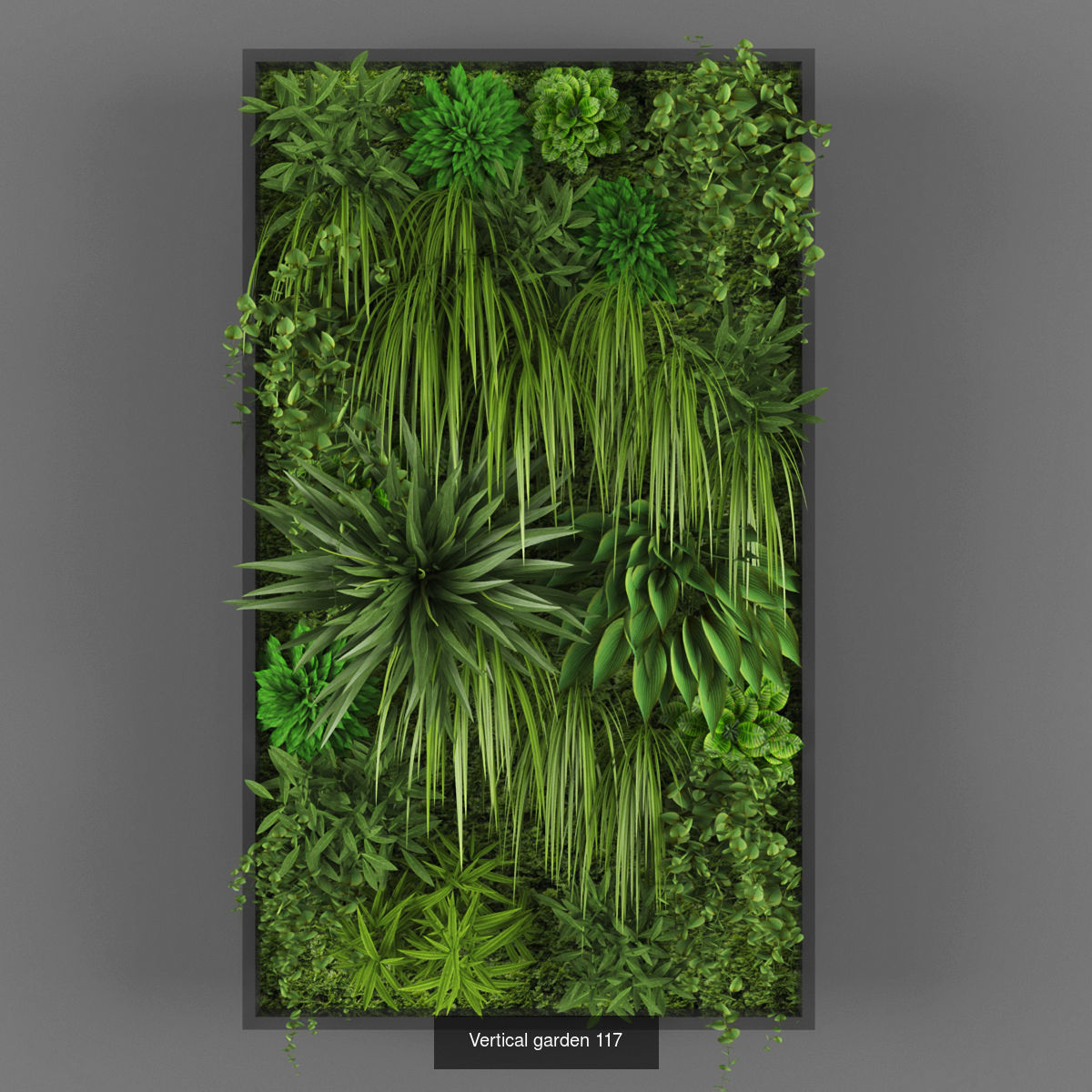 Collection of Vertical garden - 20 _9