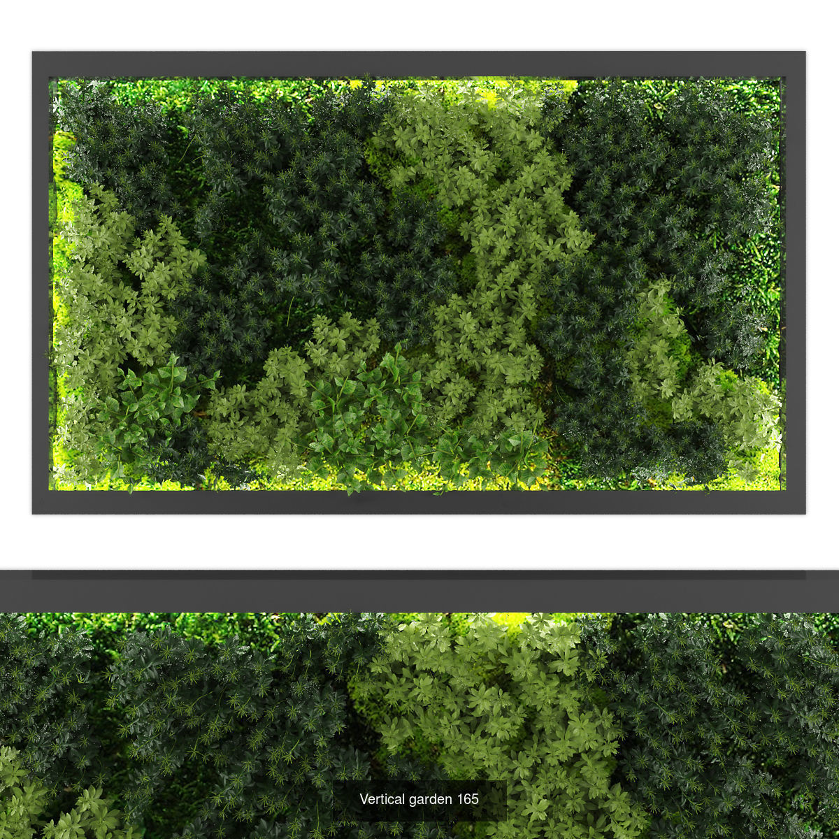 Collection of Vertical garden - 20 _16