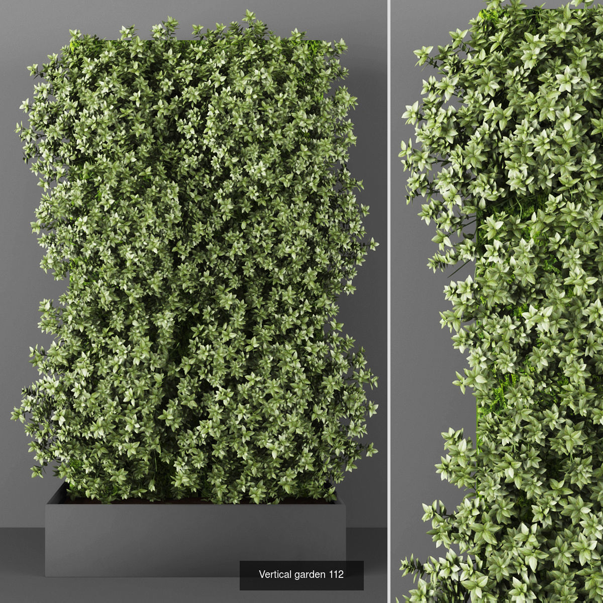 Collection of Vertical garden - 20 _4