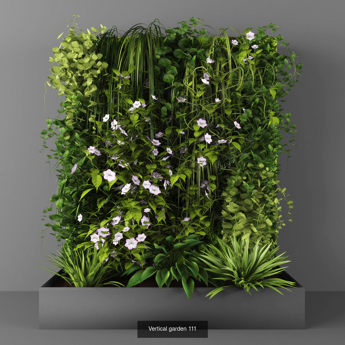 Collection of Vertical garden - 20 _3