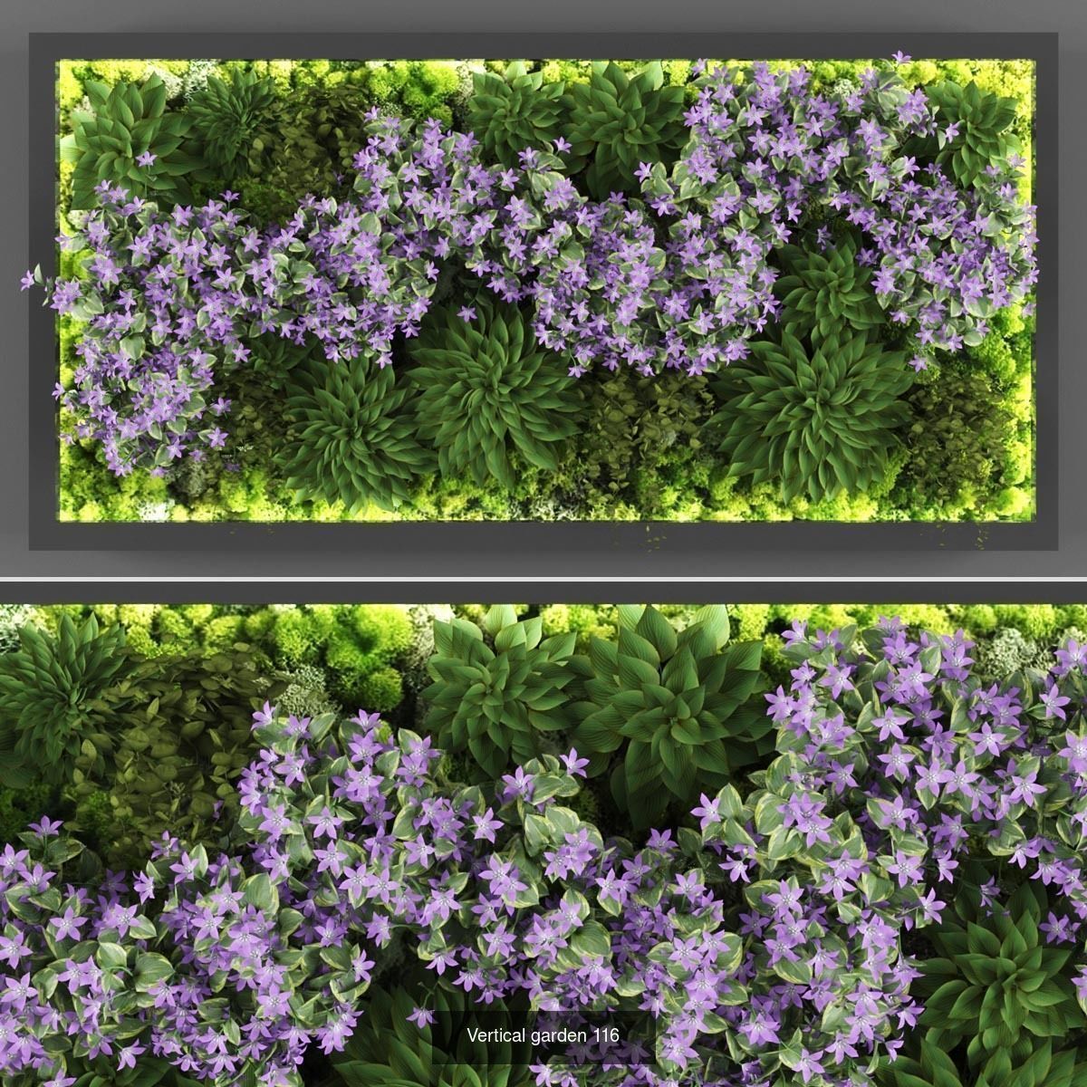 Collection of Vertical garden - 20 _8