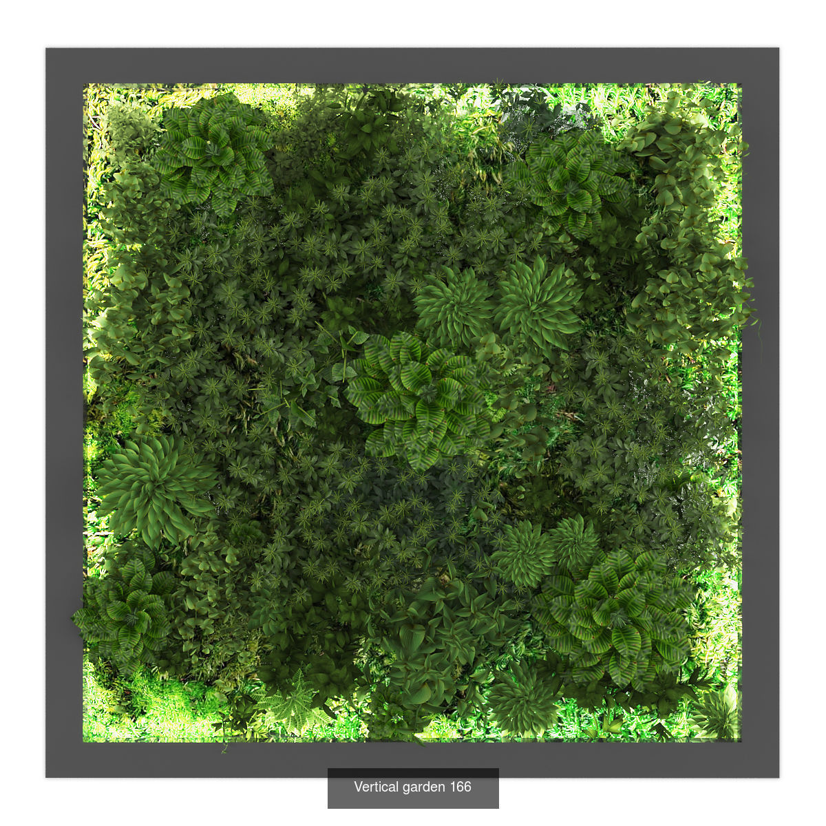 Collection of Vertical garden - 20 _17