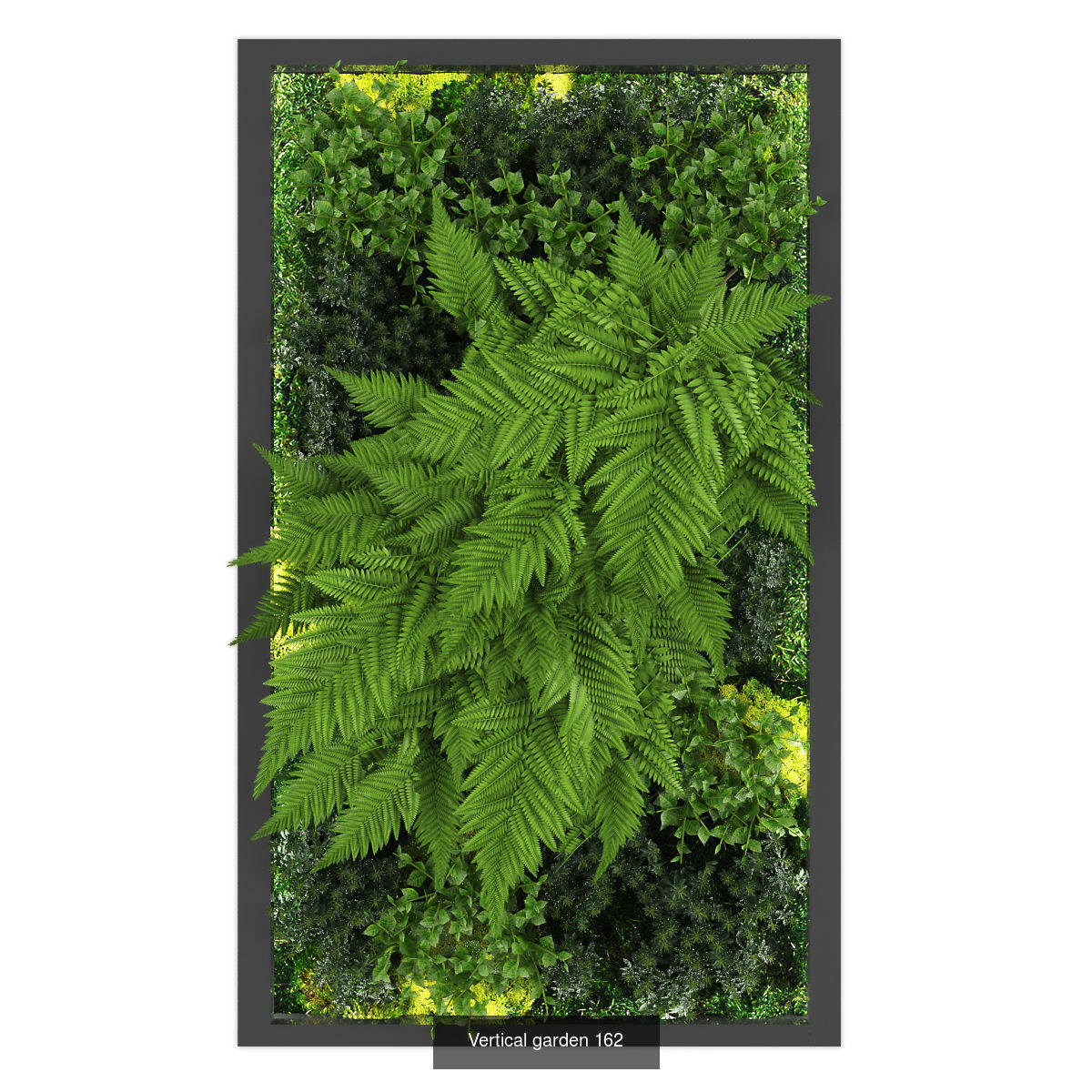 Collection of Vertical garden - 20 _13