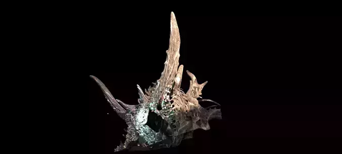  Alien Dragon God Bone In space 6  3D model