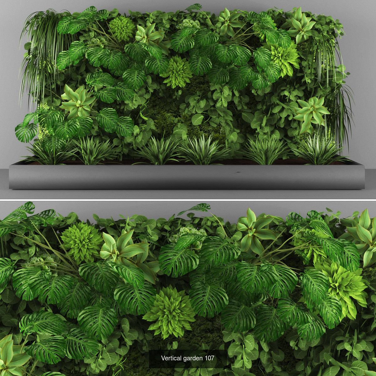 Collection of Vertical garden - 20 _19