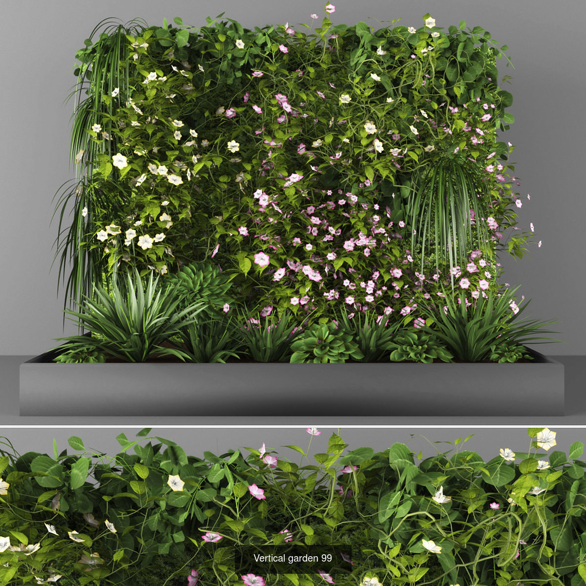 Collection of Vertical garden - 20 _11