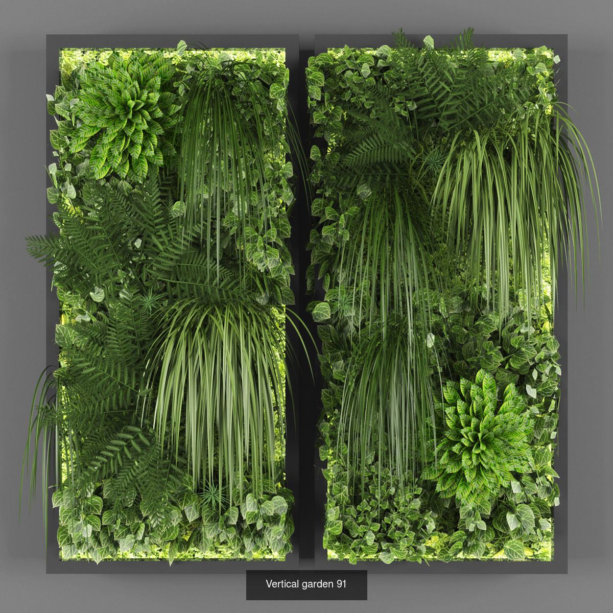 Collection of Vertical garden - 20 _4