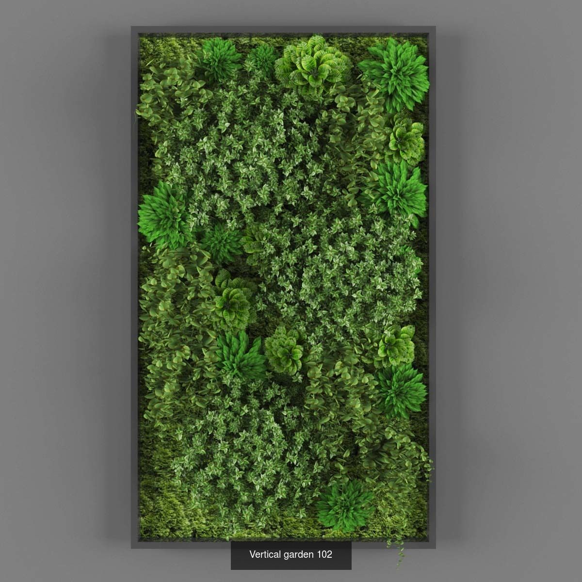 Collection of Vertical garden - 20 _14