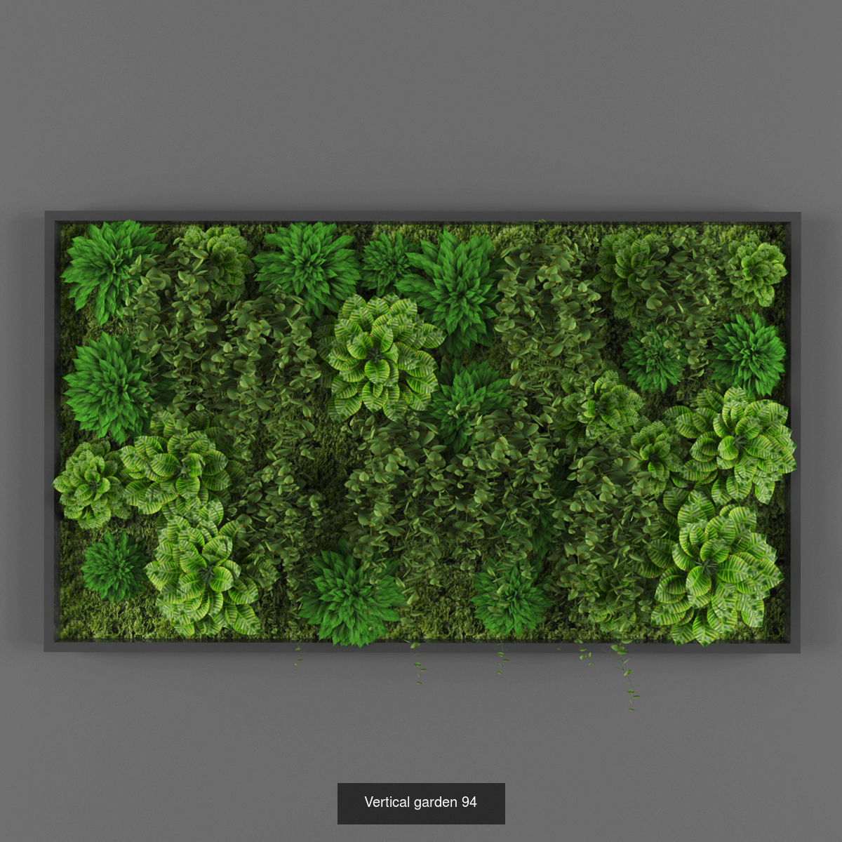Collection of Vertical garden - 20 _6
