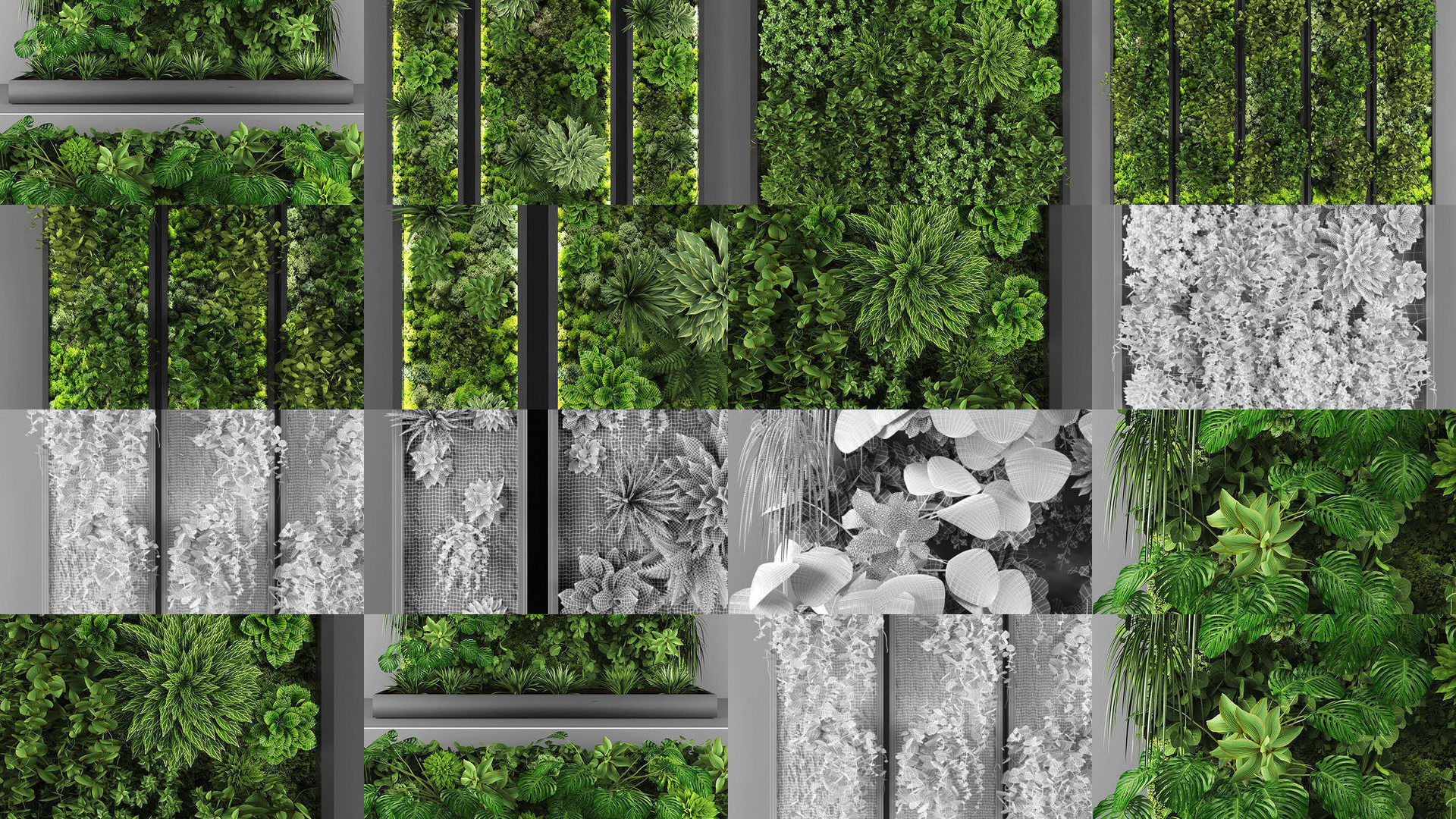 Collection of Vertical garden - 20 _1