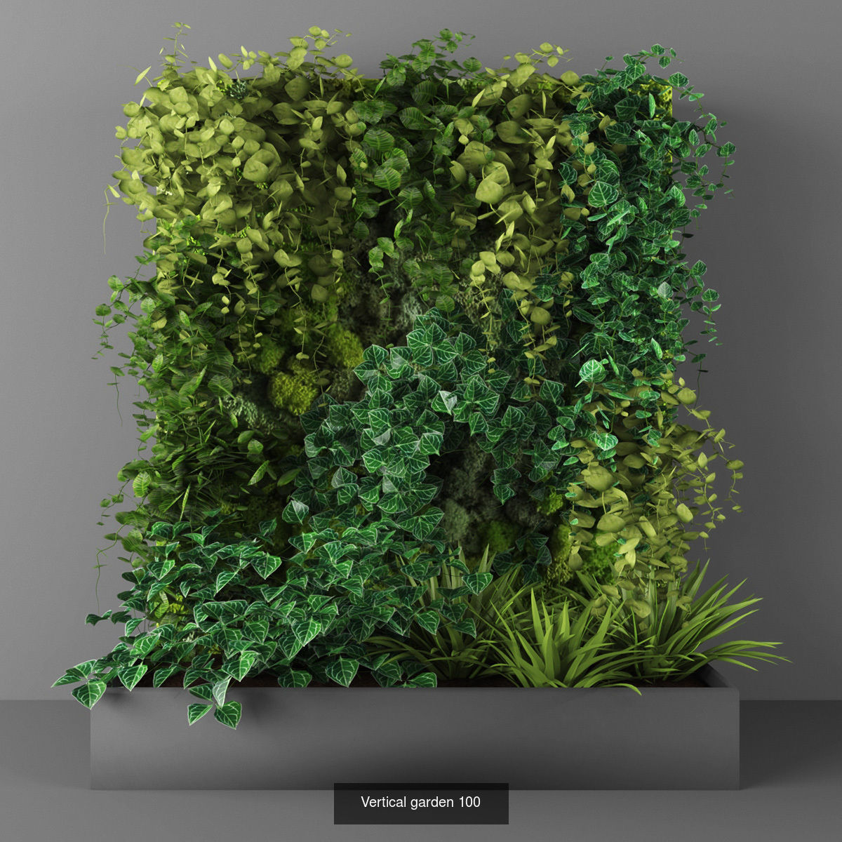 Collection of Vertical garden - 20 _12