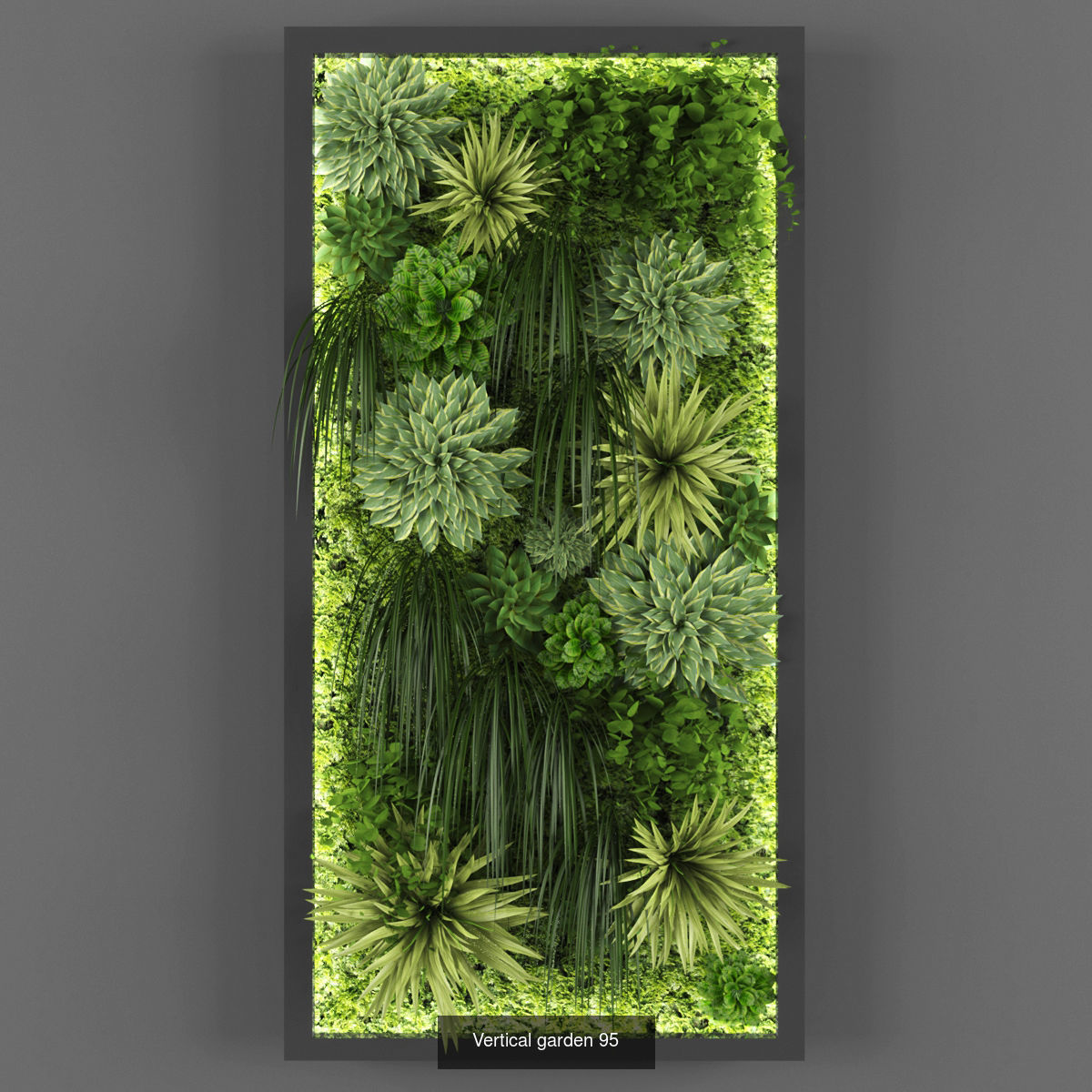 Collection of Vertical garden - 20 _7