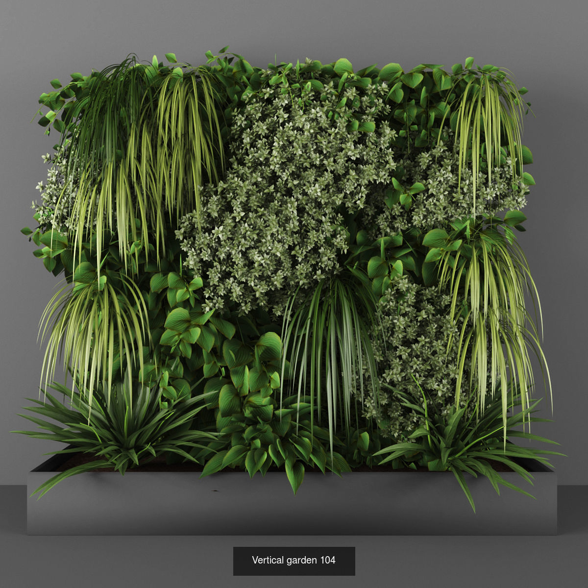 Collection of Vertical garden - 20 _16