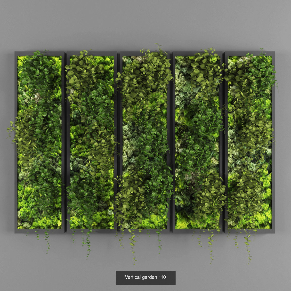 Collection of Vertical garden - 20 _22