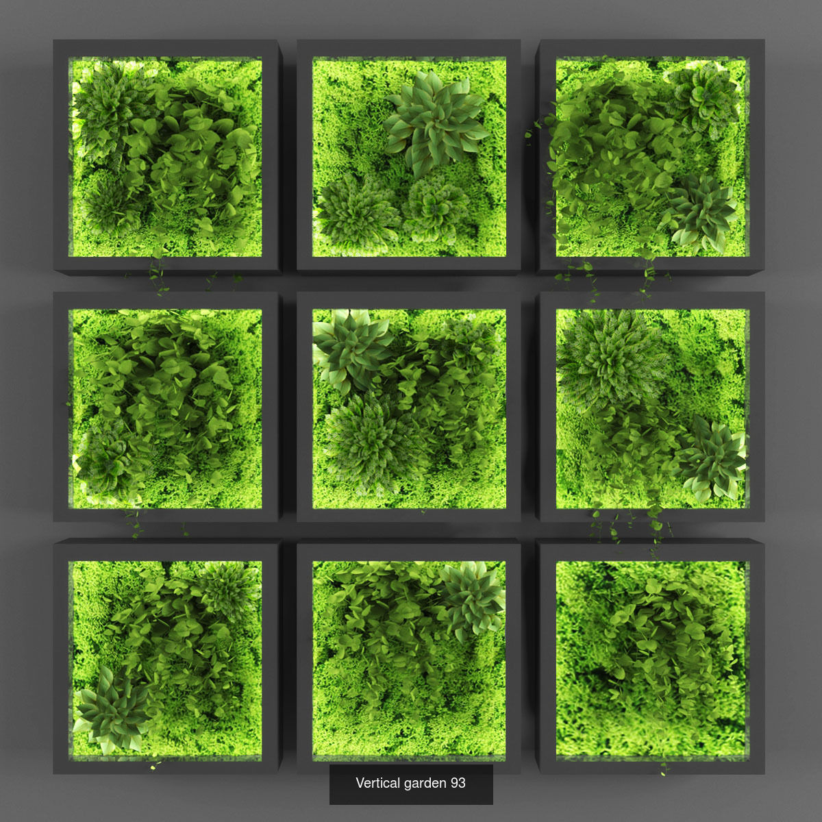 Collection of Vertical garden - 20 _5
