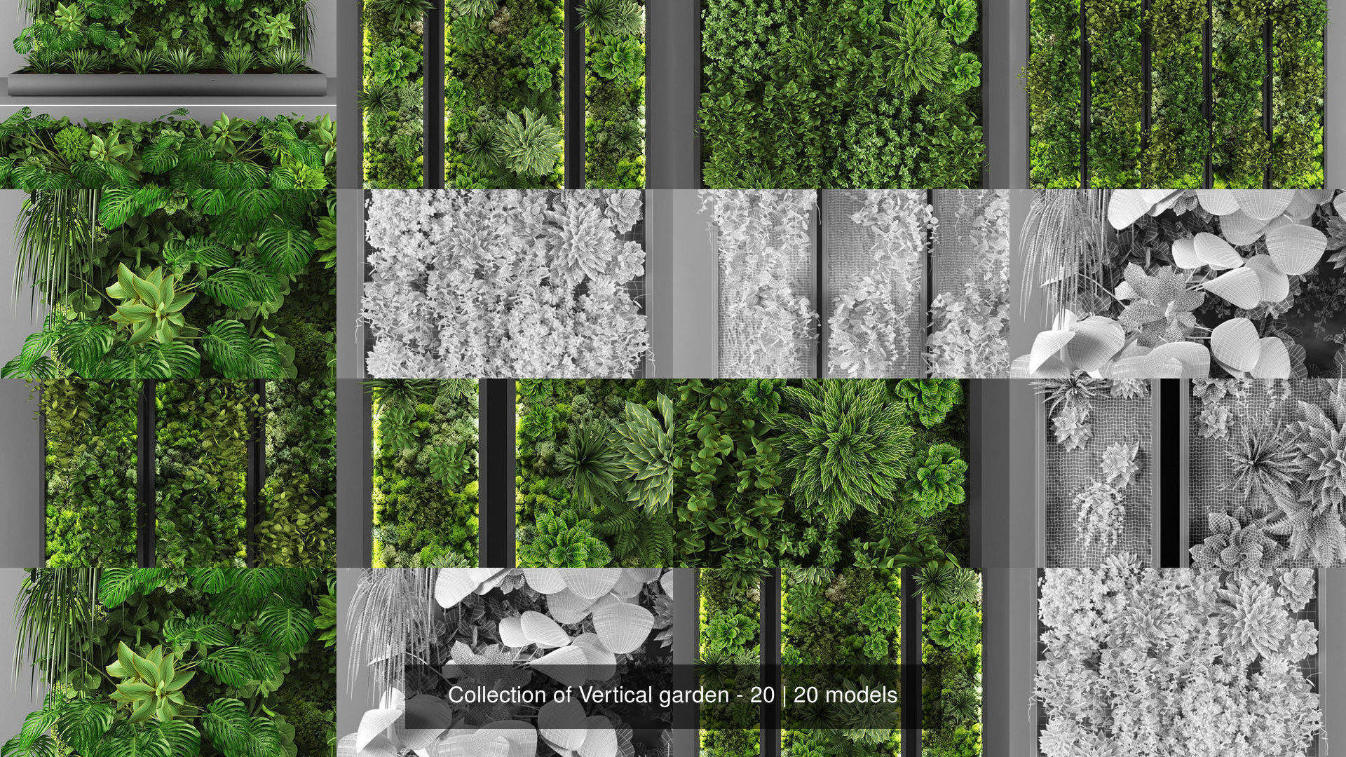 Collection of Vertical garden - 20 _2