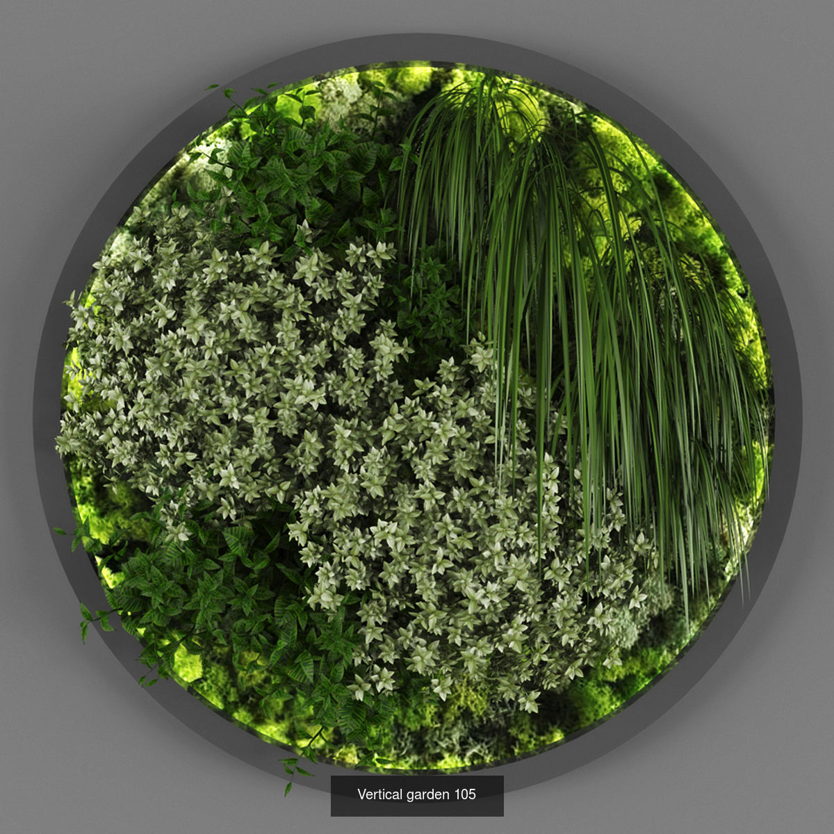 Collection of Vertical garden - 20 _17