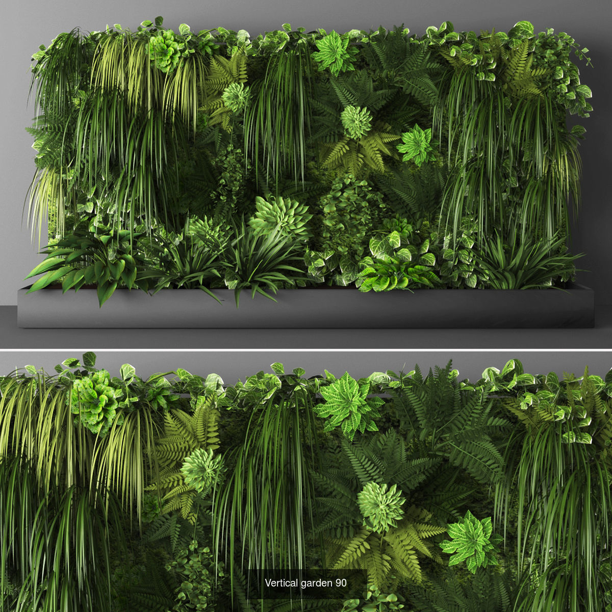 Collection of Vertical garden - 20 _3