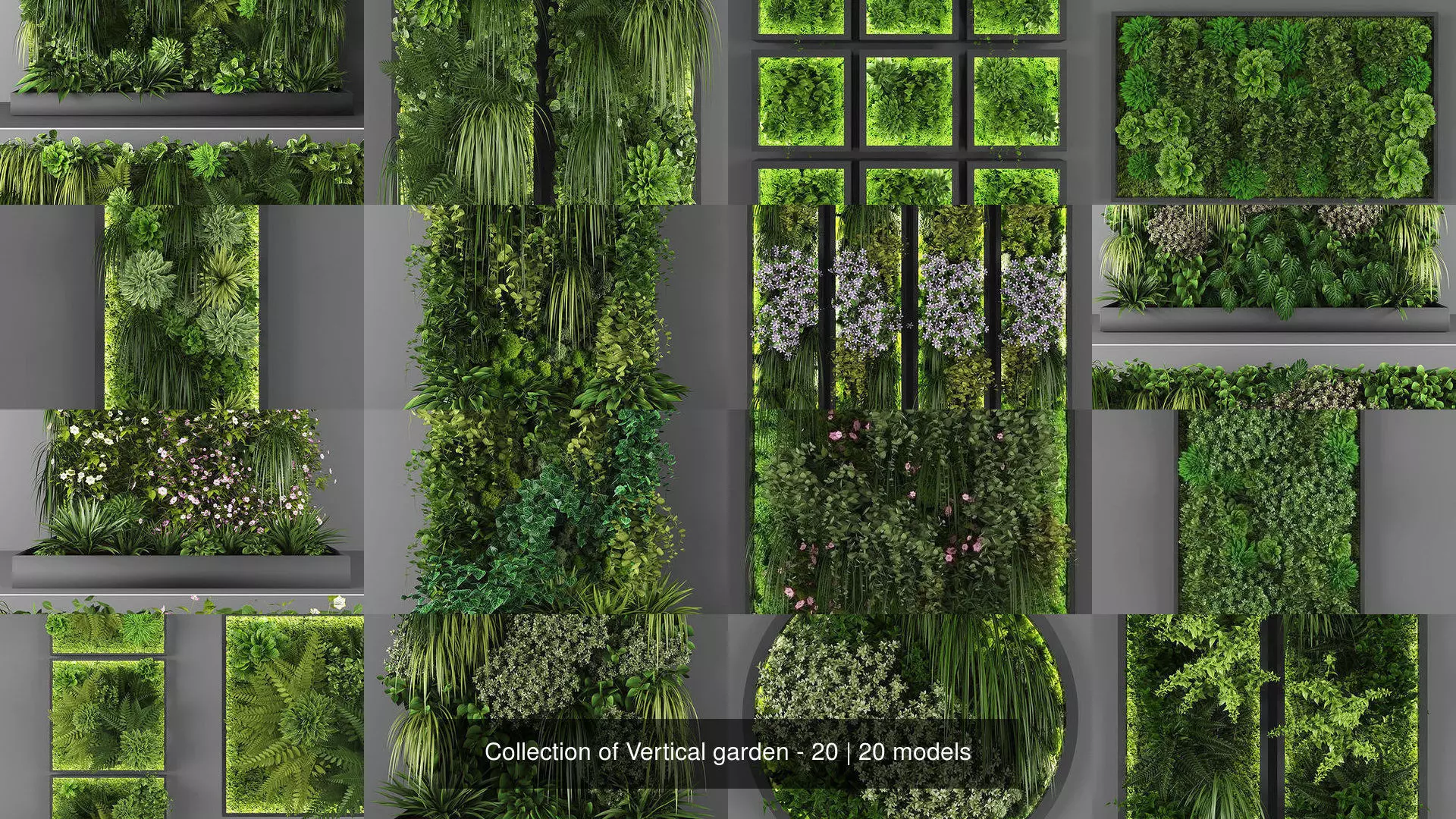 Collection of Vertical garden - 20 _0