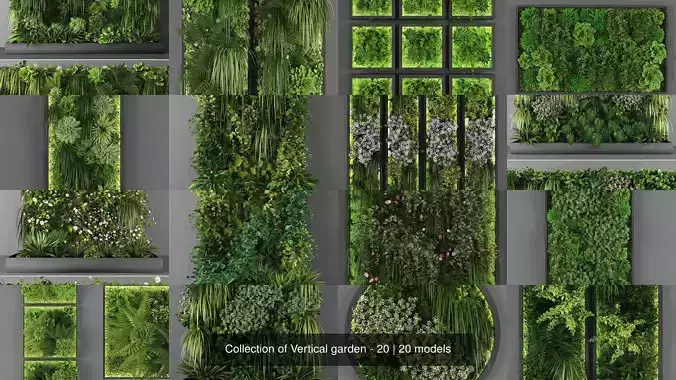 Collection of Vertical garden - 20 