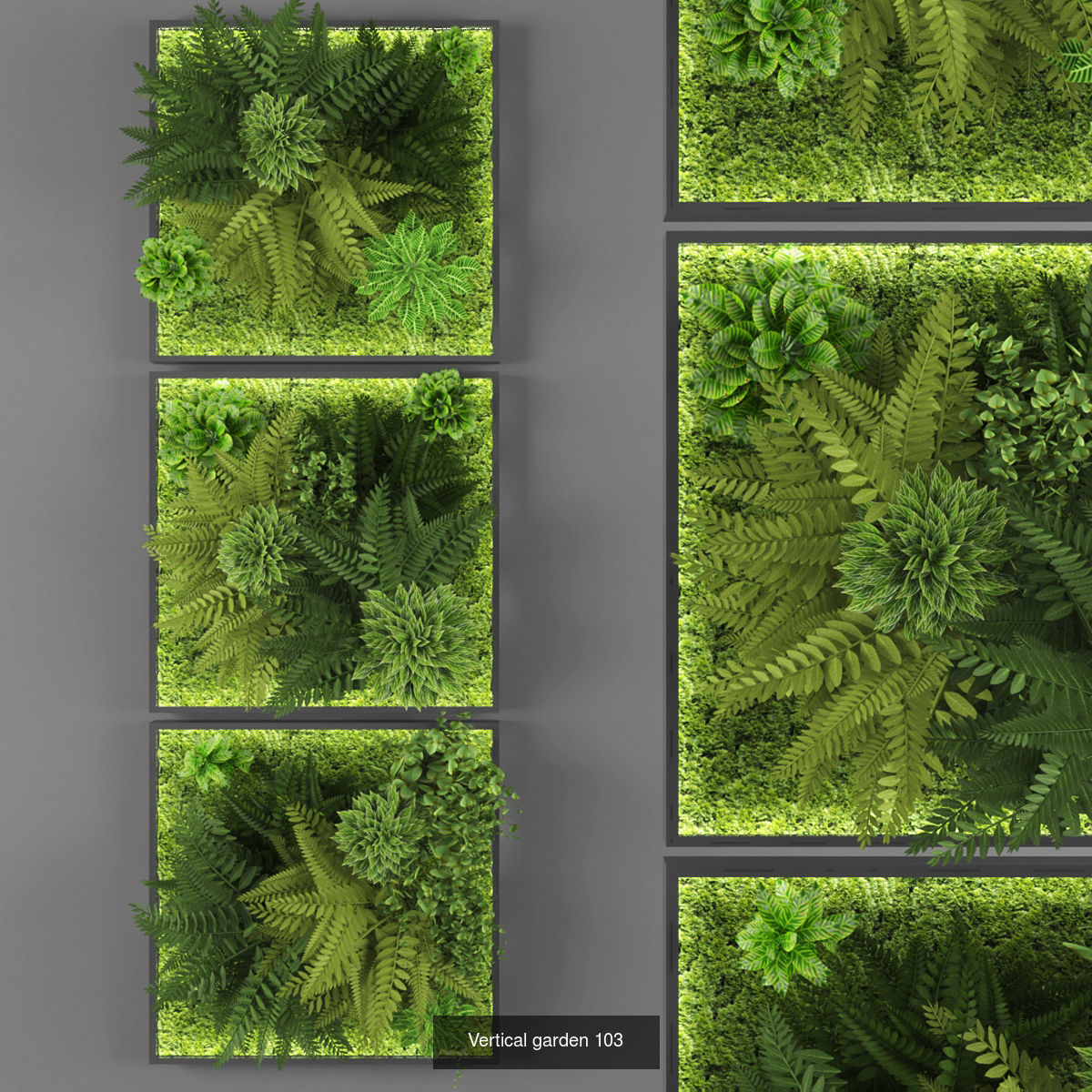 Collection of Vertical garden - 20 _15