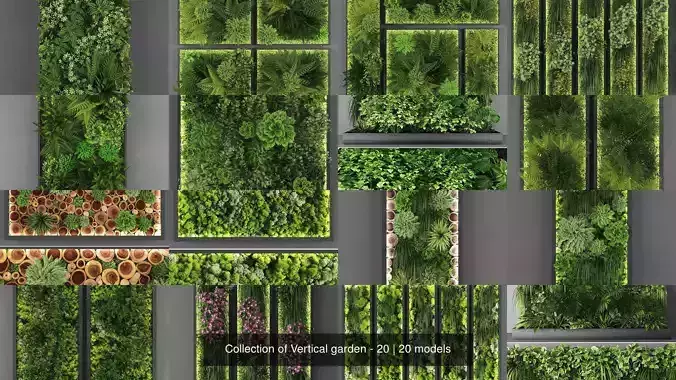 Collection of Vertical garden - 20 
