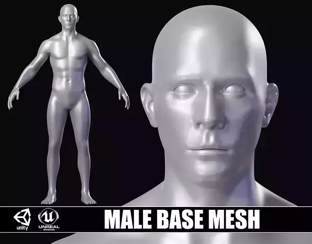 Realistic Athletic Man Body Base Mesh Low-poly 3D model