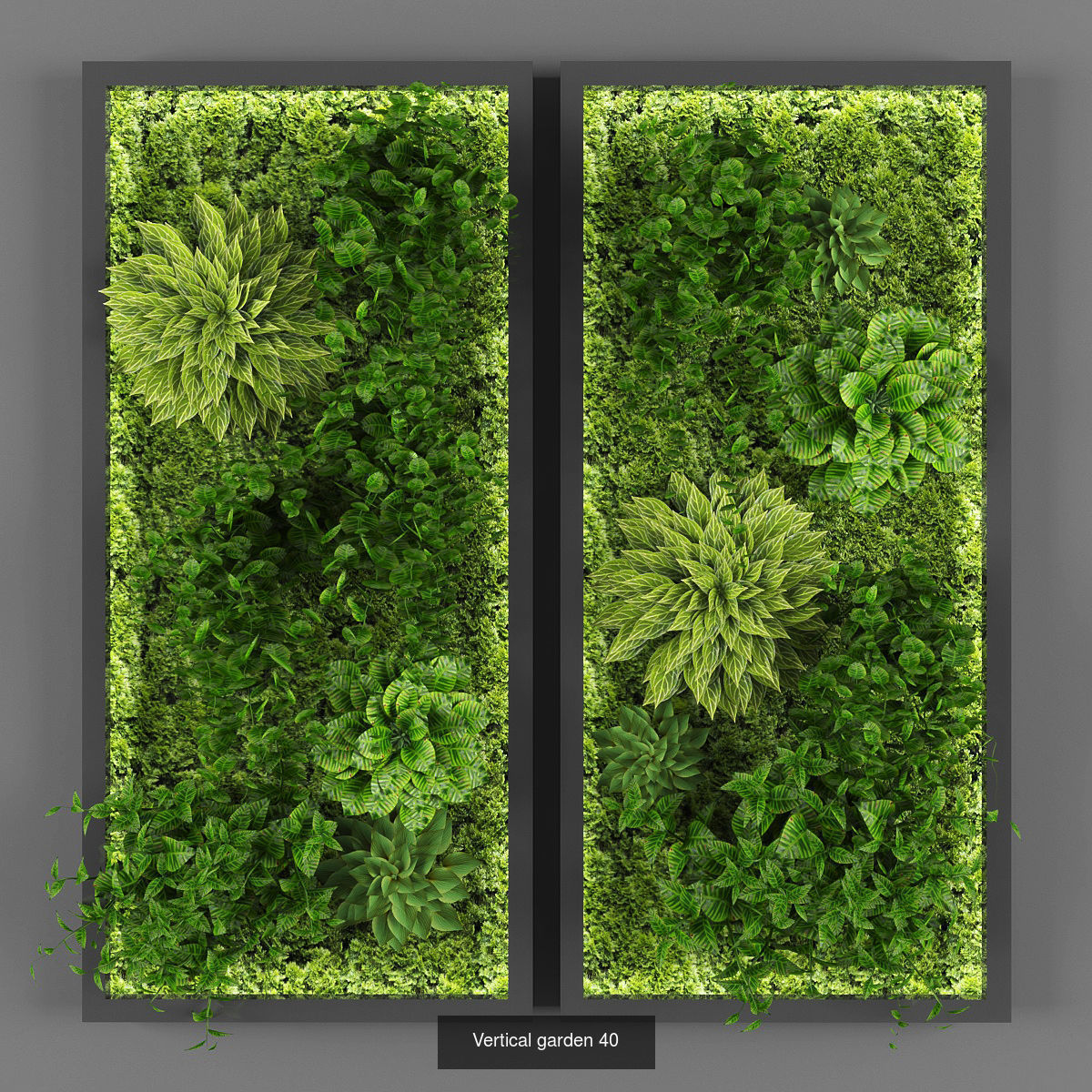 Collection of Vertical garden - 20 _13