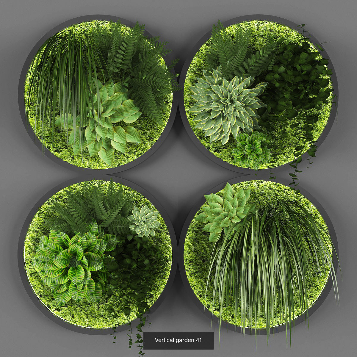 Collection of Vertical garden - 20 _14