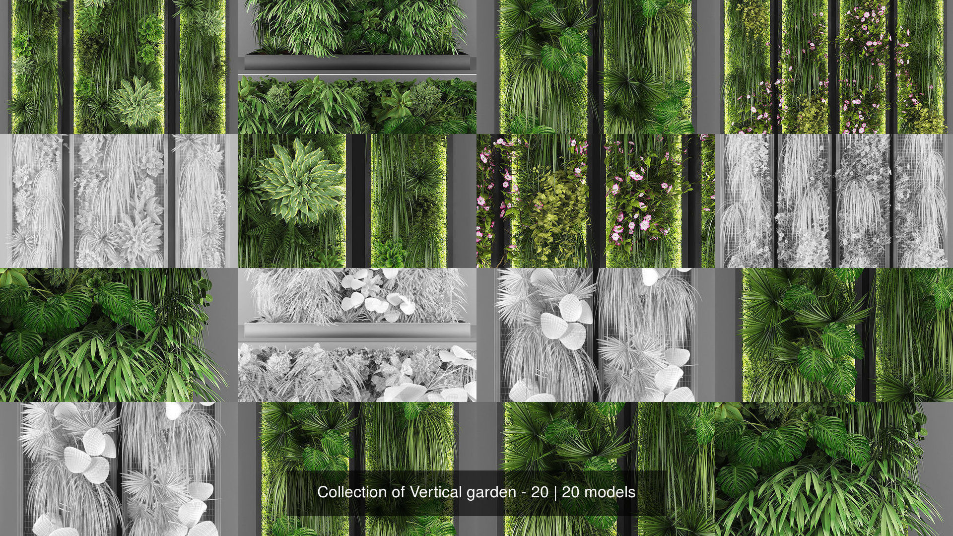 Collection of Vertical garden - 20 _2