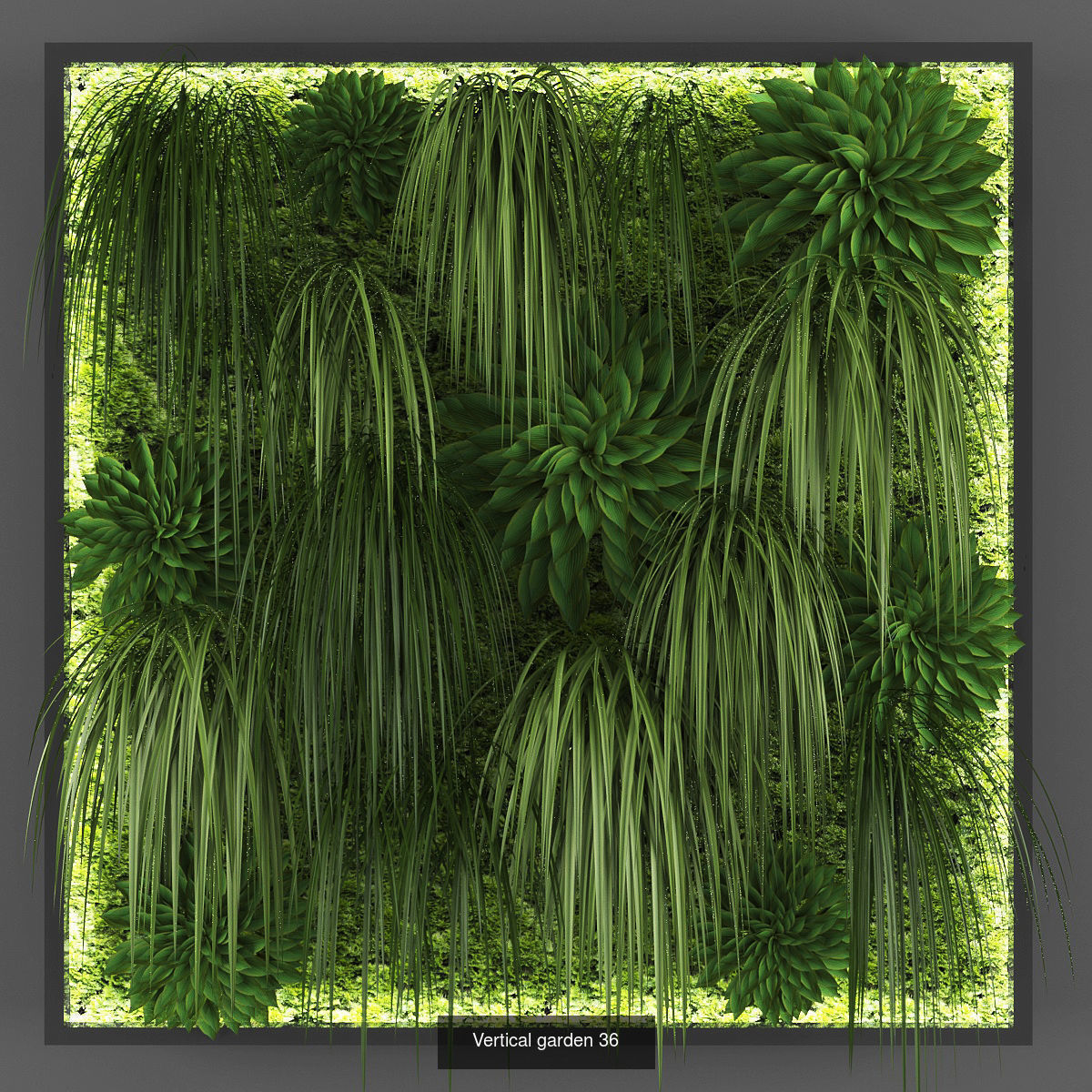 Collection of Vertical garden - 20 _9