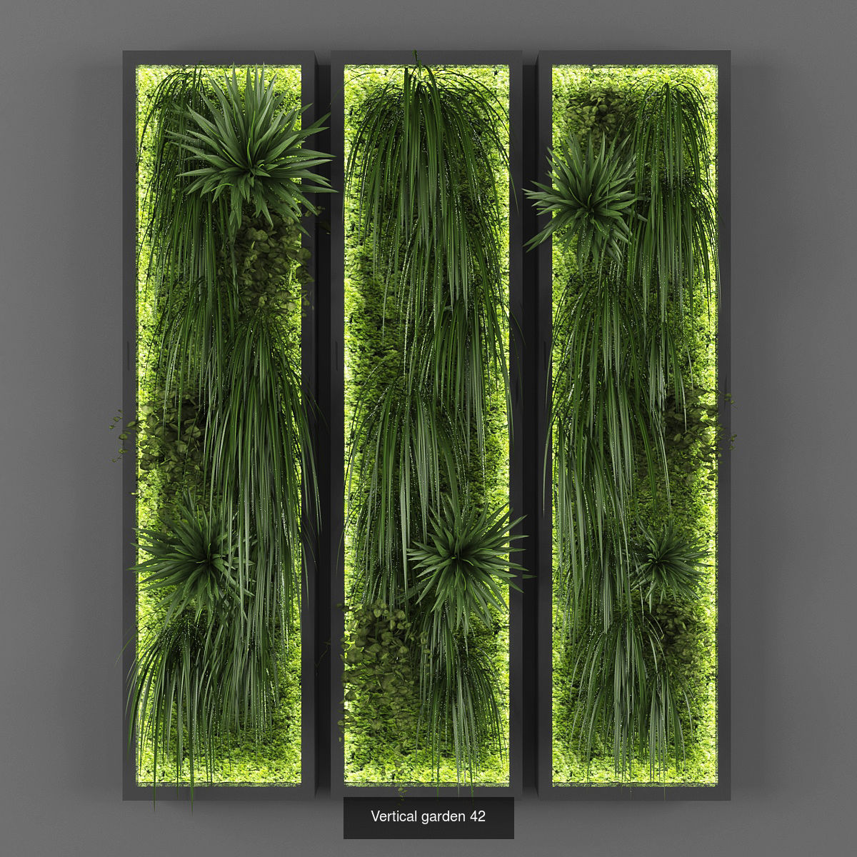 Collection of Vertical garden - 20 _15