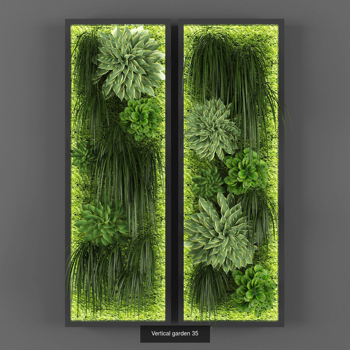 Collection of Vertical garden - 20 _8