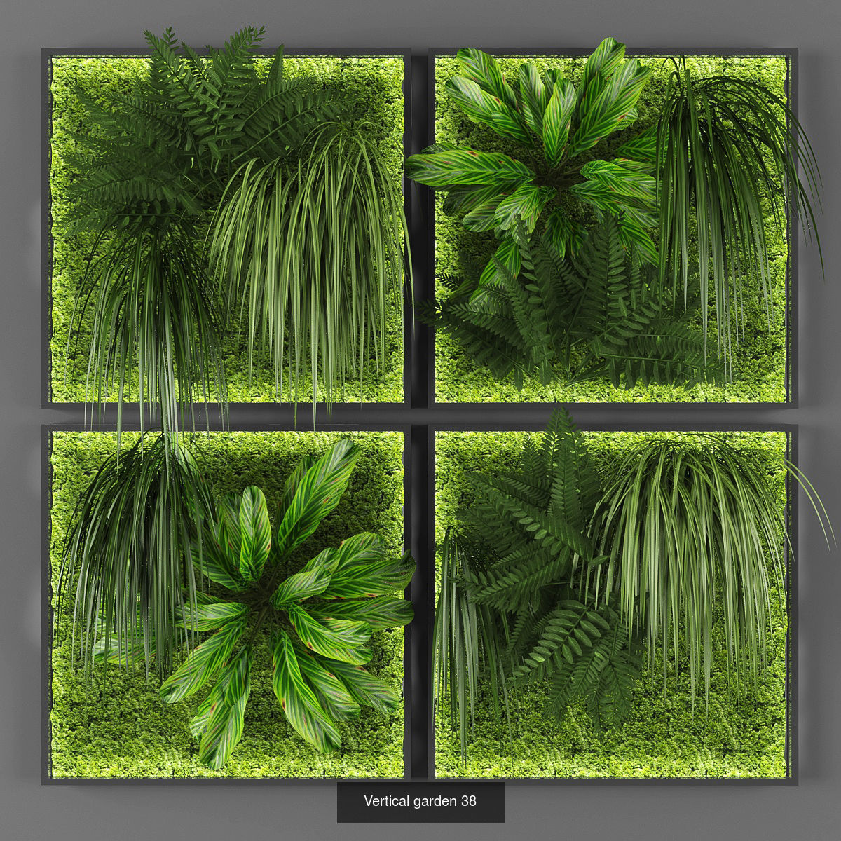 Collection of Vertical garden - 20 _11