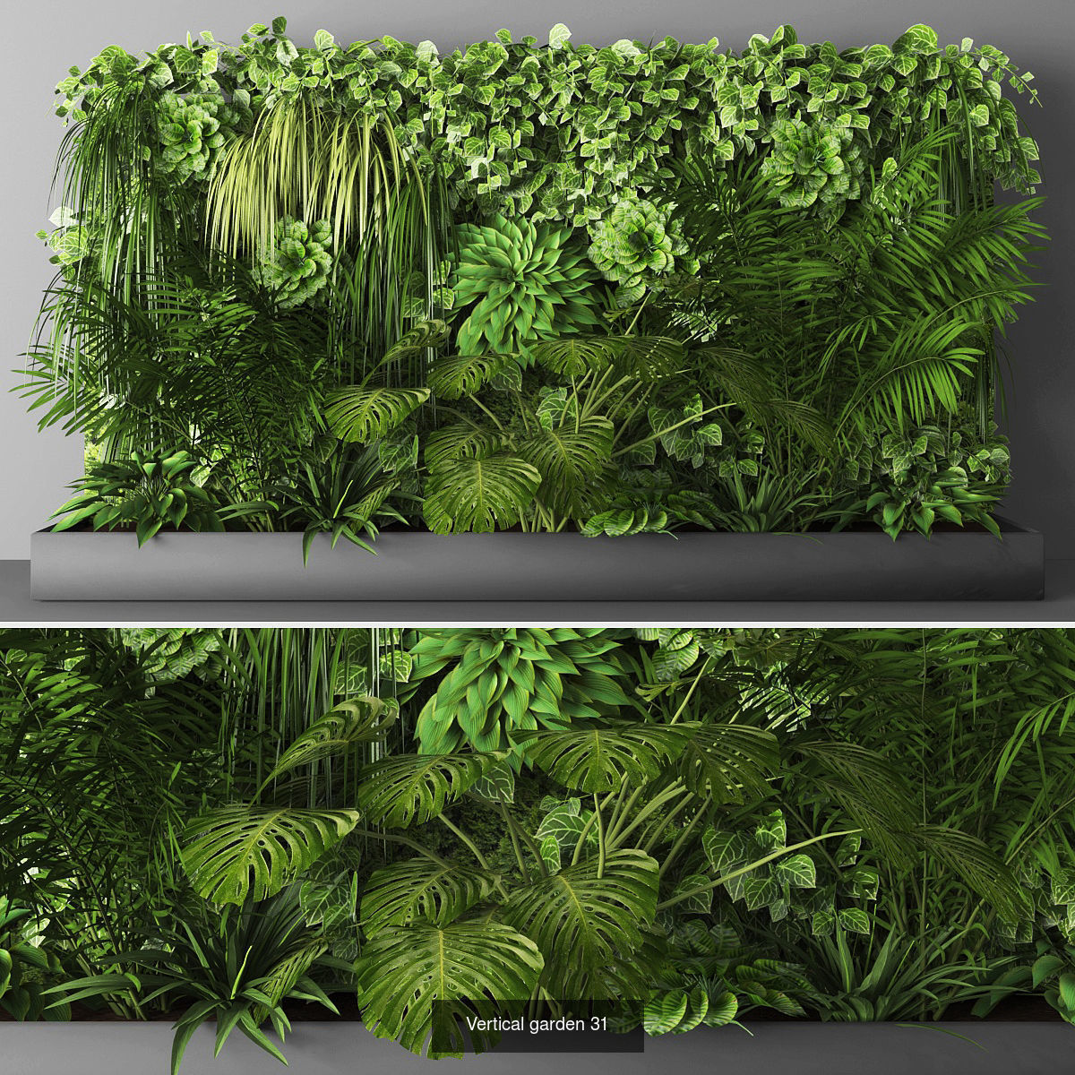 Collection of Vertical garden - 20 _4