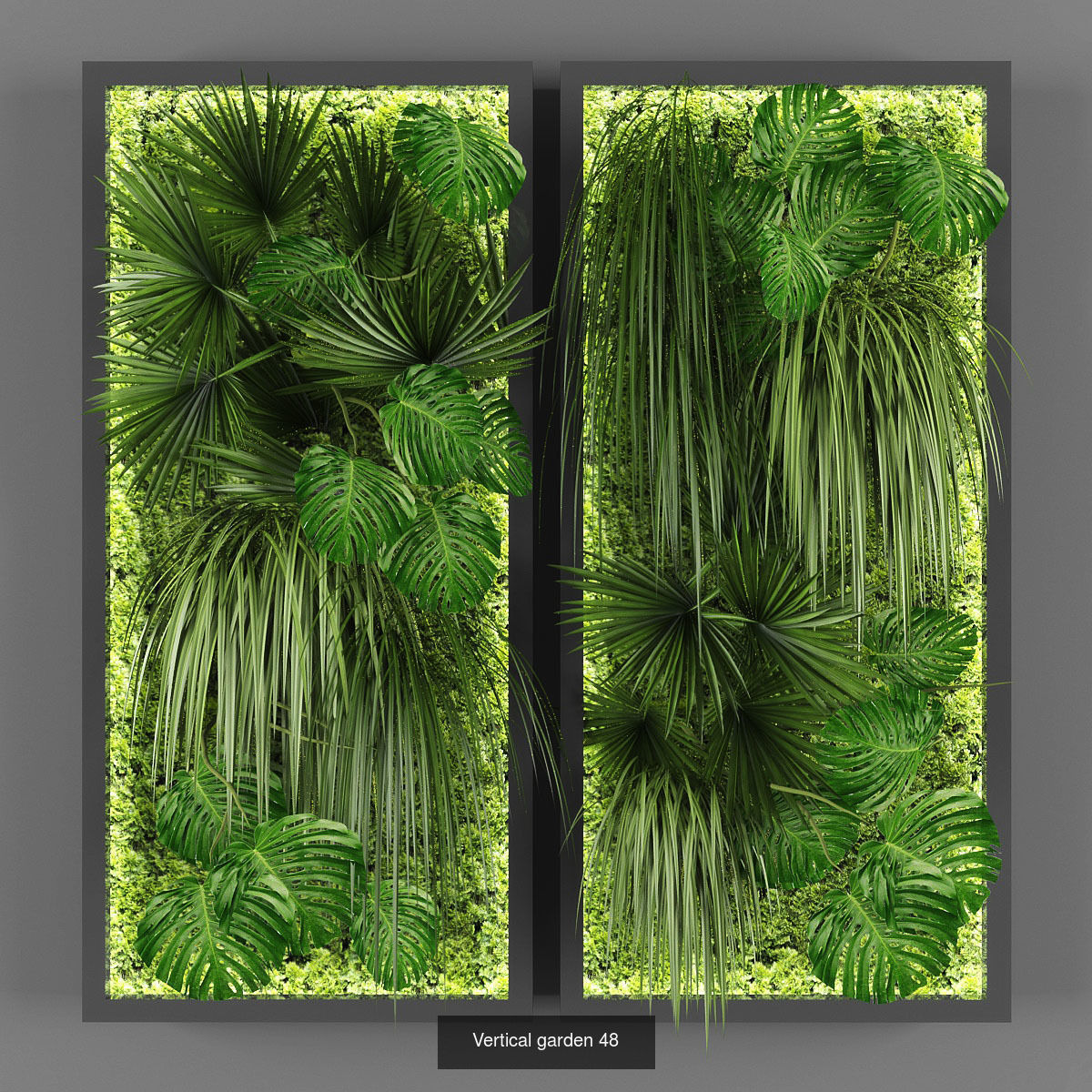 Collection of Vertical garden - 20 _21