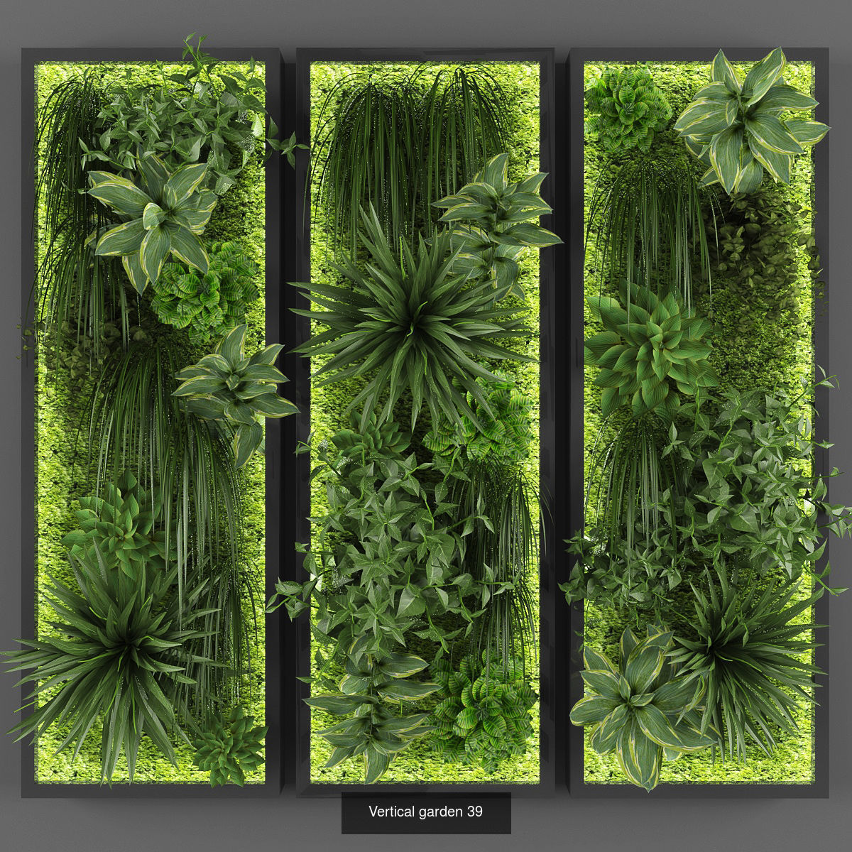 Collection of Vertical garden - 20 _12
