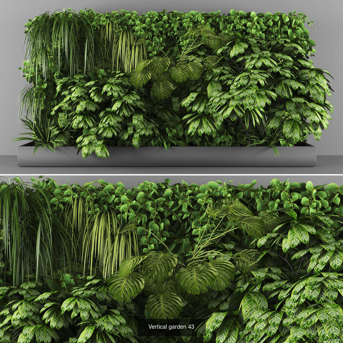 Collection of Vertical garden - 20 _16