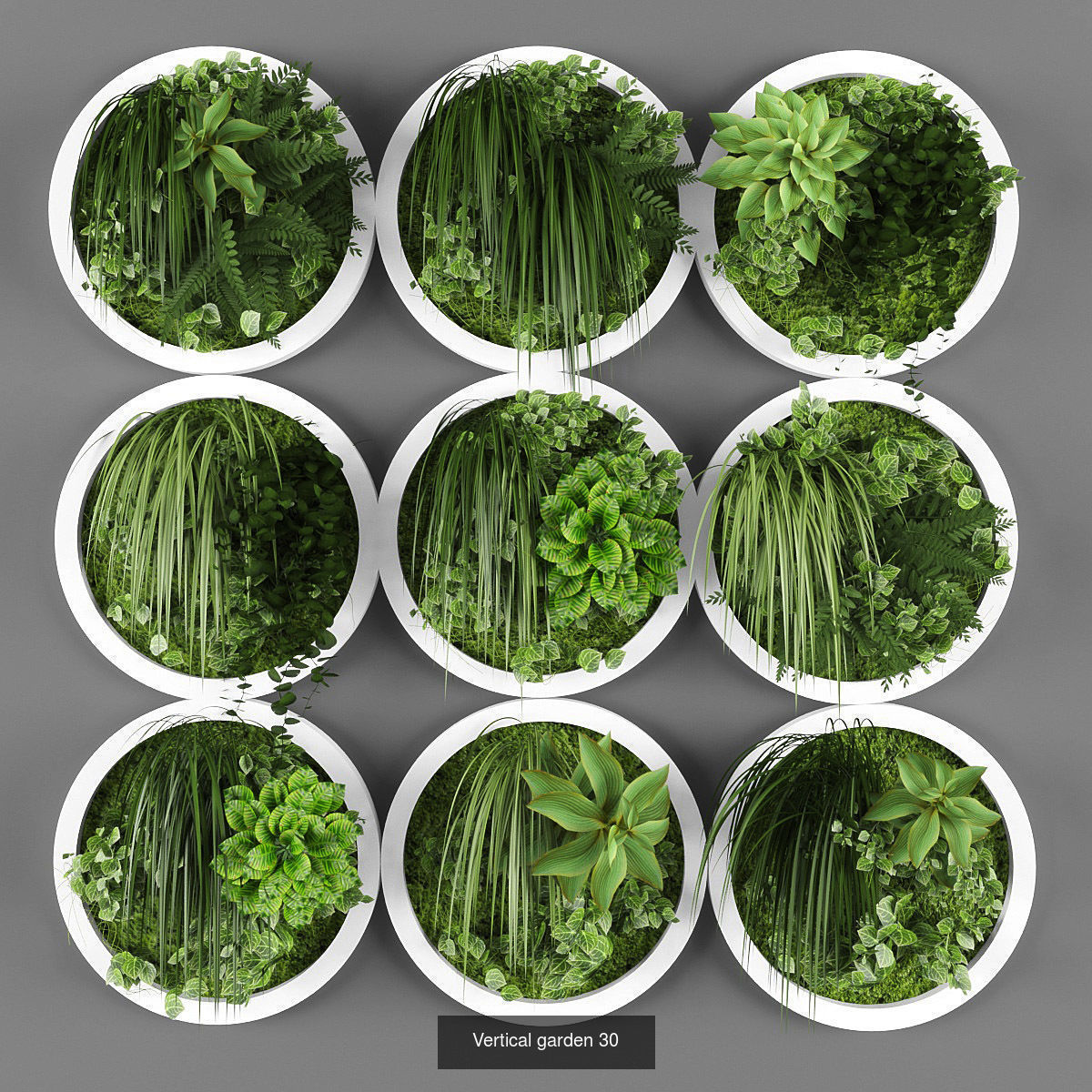 Collection of Vertical garden - 20 _3