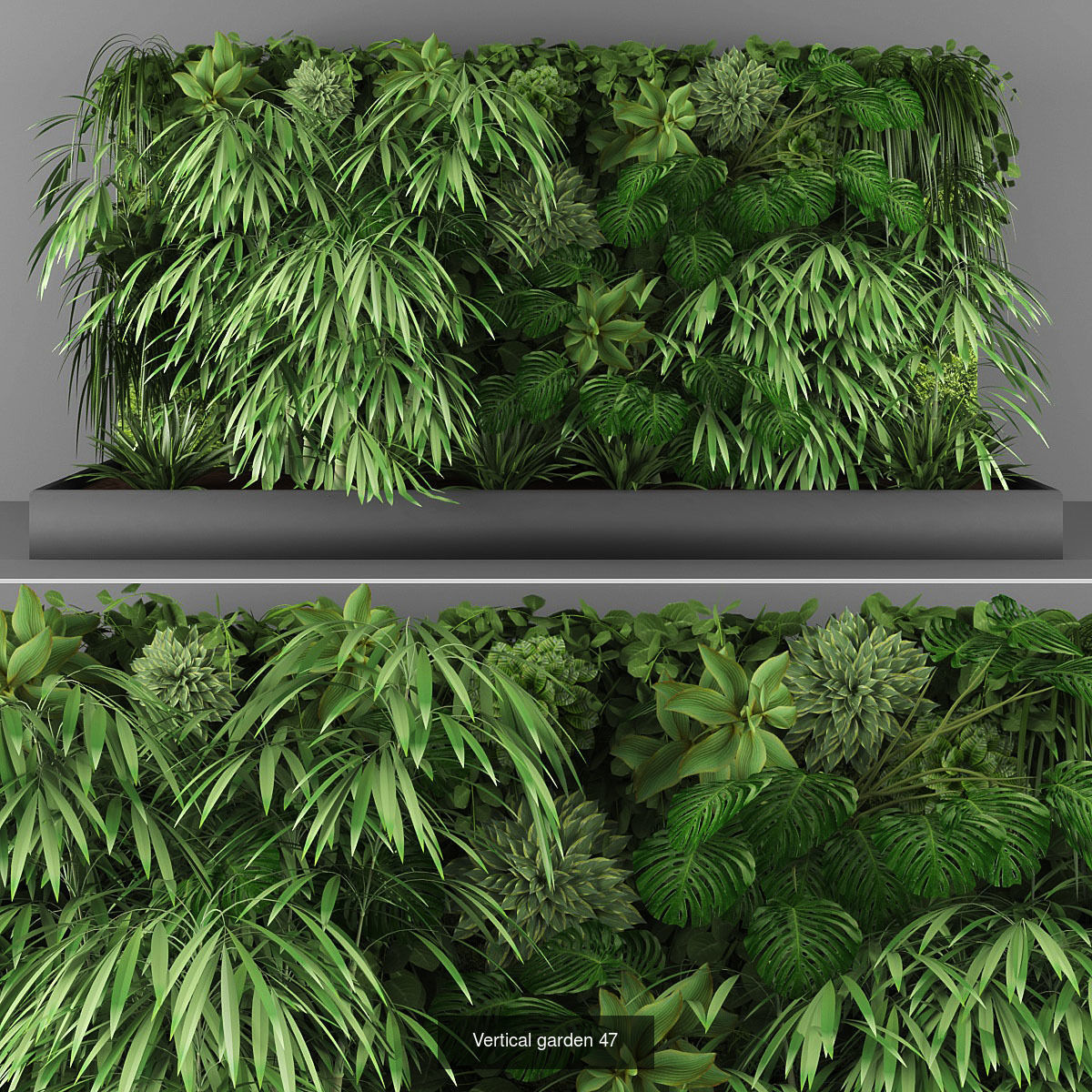 Collection of Vertical garden - 20 _20