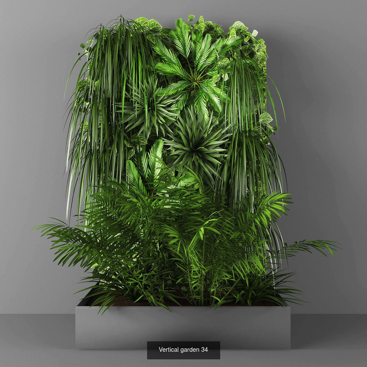 Collection of Vertical garden - 20 _7