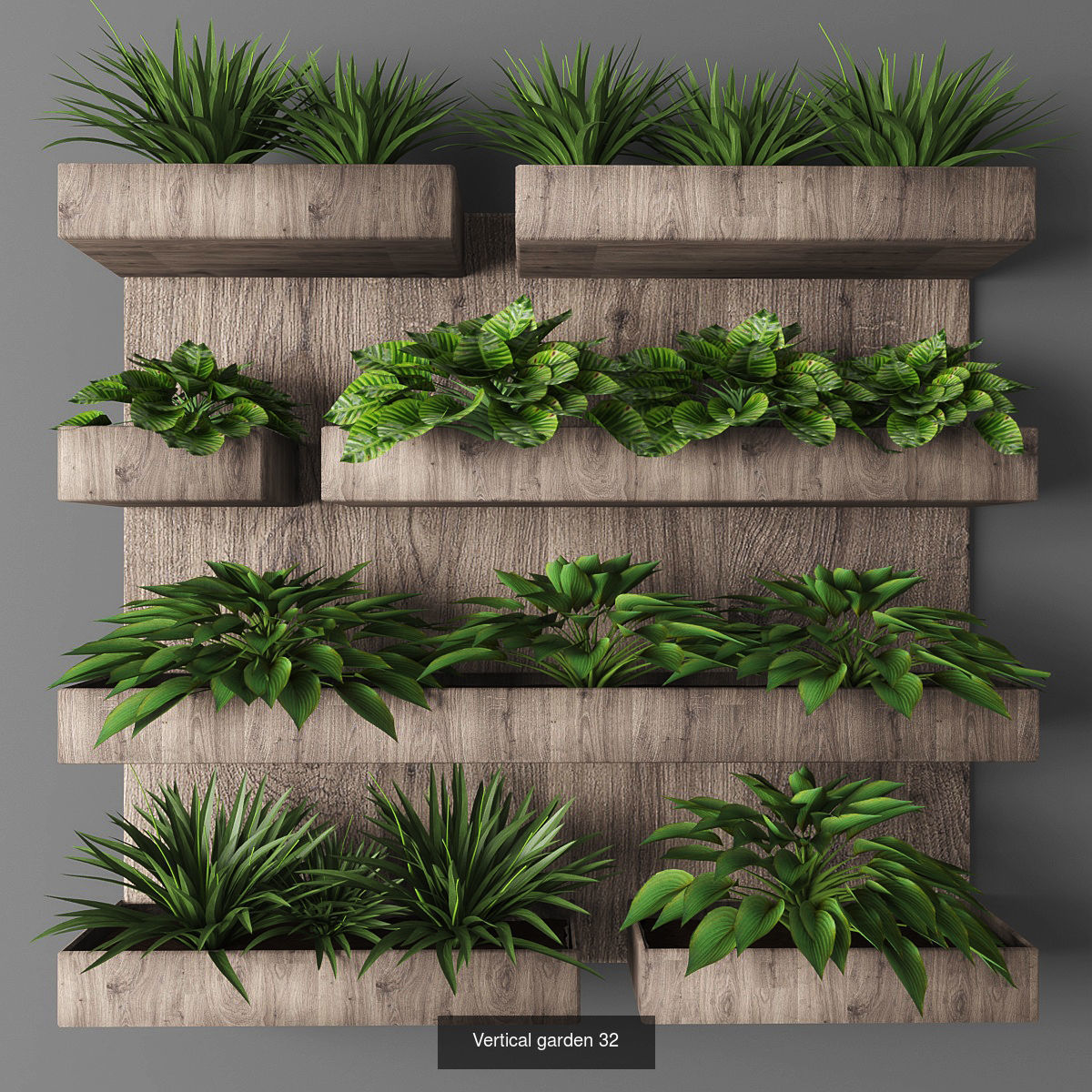 Collection of Vertical garden - 20 _5