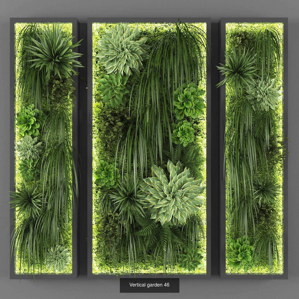 Collection of Vertical garden - 20 _19