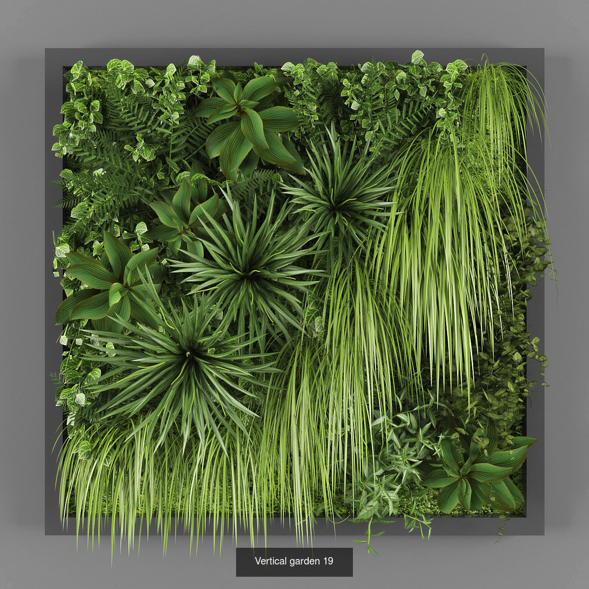 Collection of Vertical garden - 20 _12