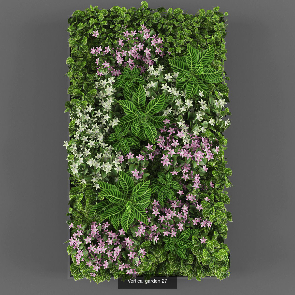 Collection of Vertical garden - 20 _20