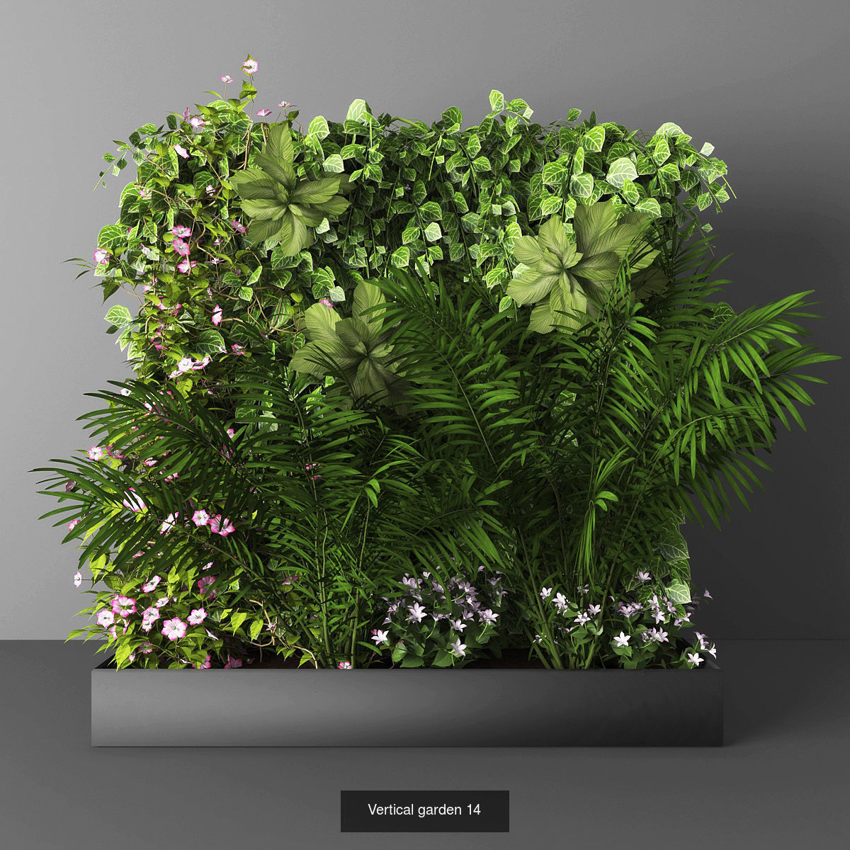 Collection of Vertical garden - 20 _7