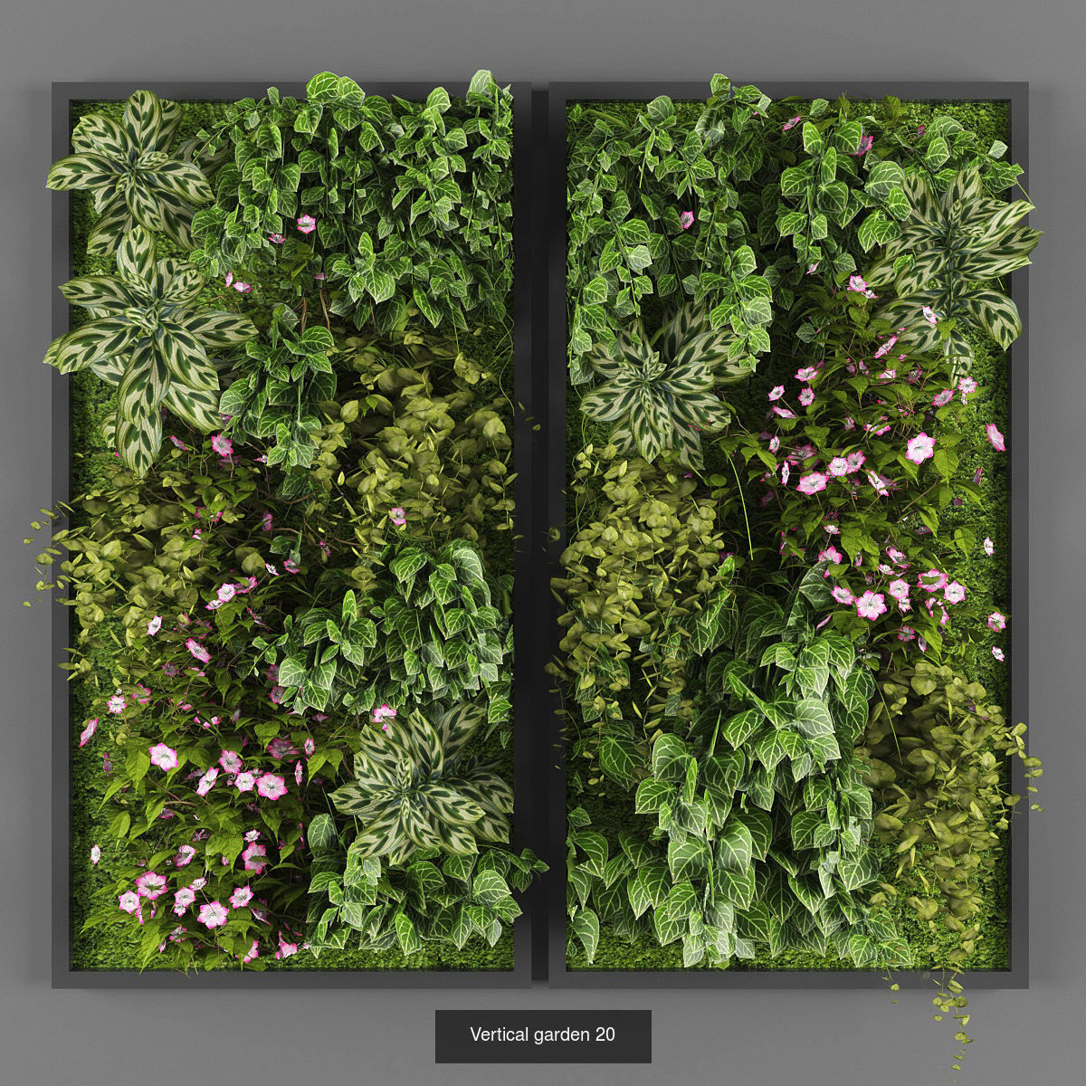 Collection of Vertical garden - 20 _13