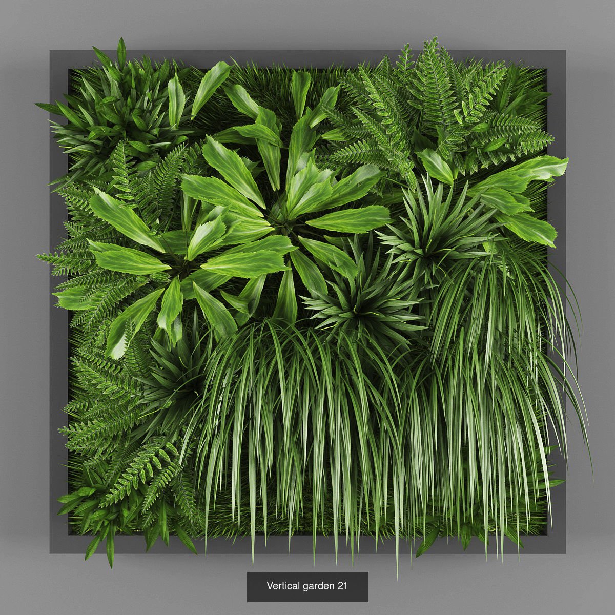 Collection of Vertical garden - 20 _14