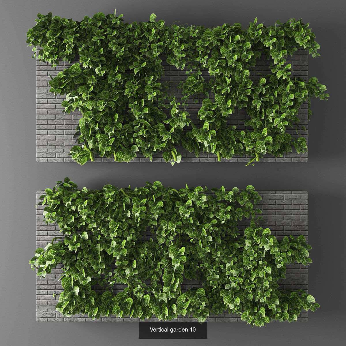 Collection of Vertical garden - 20 _3