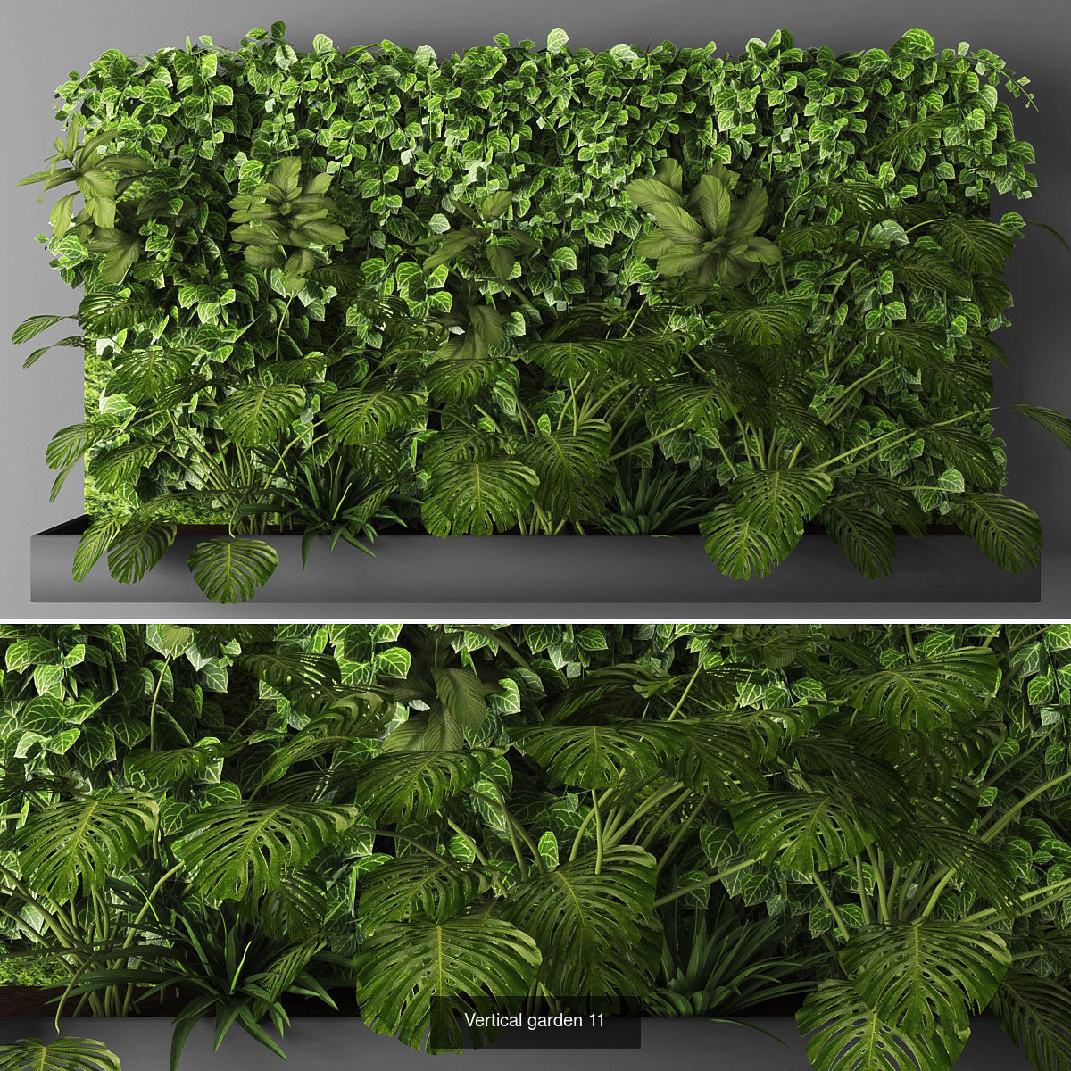 Collection of Vertical garden - 20 _4
